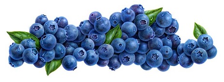 Blueberries - Blueberry Clip Art
