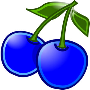blueberry clipart black and w