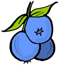 blueberry clipart - Blueberry Clip Art