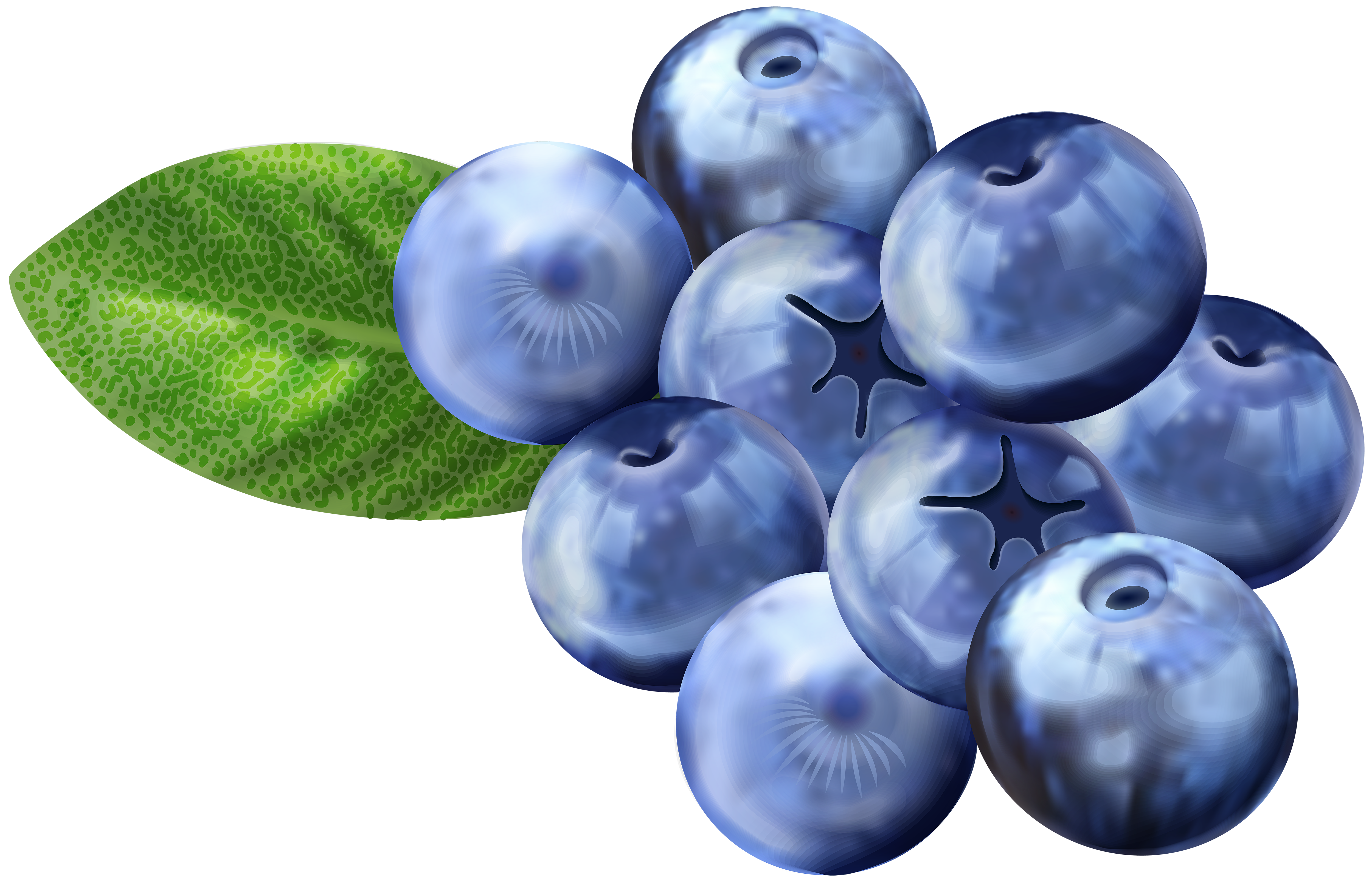Blueberries PNG Clip Art Image