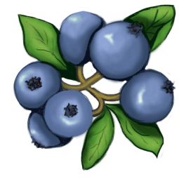 Blueberry Free Clipart