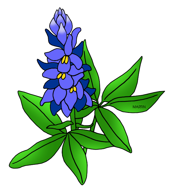 Bluebonnet Clip Art. Texas State Flower - .