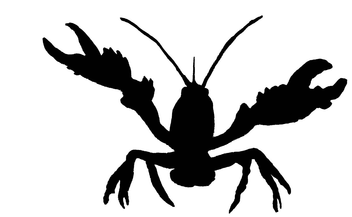 boil clipart - Crayfish Clipart