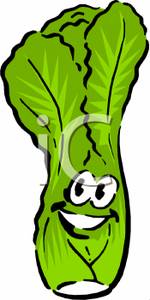 A Smiling Head of Bok Choy - Clipart