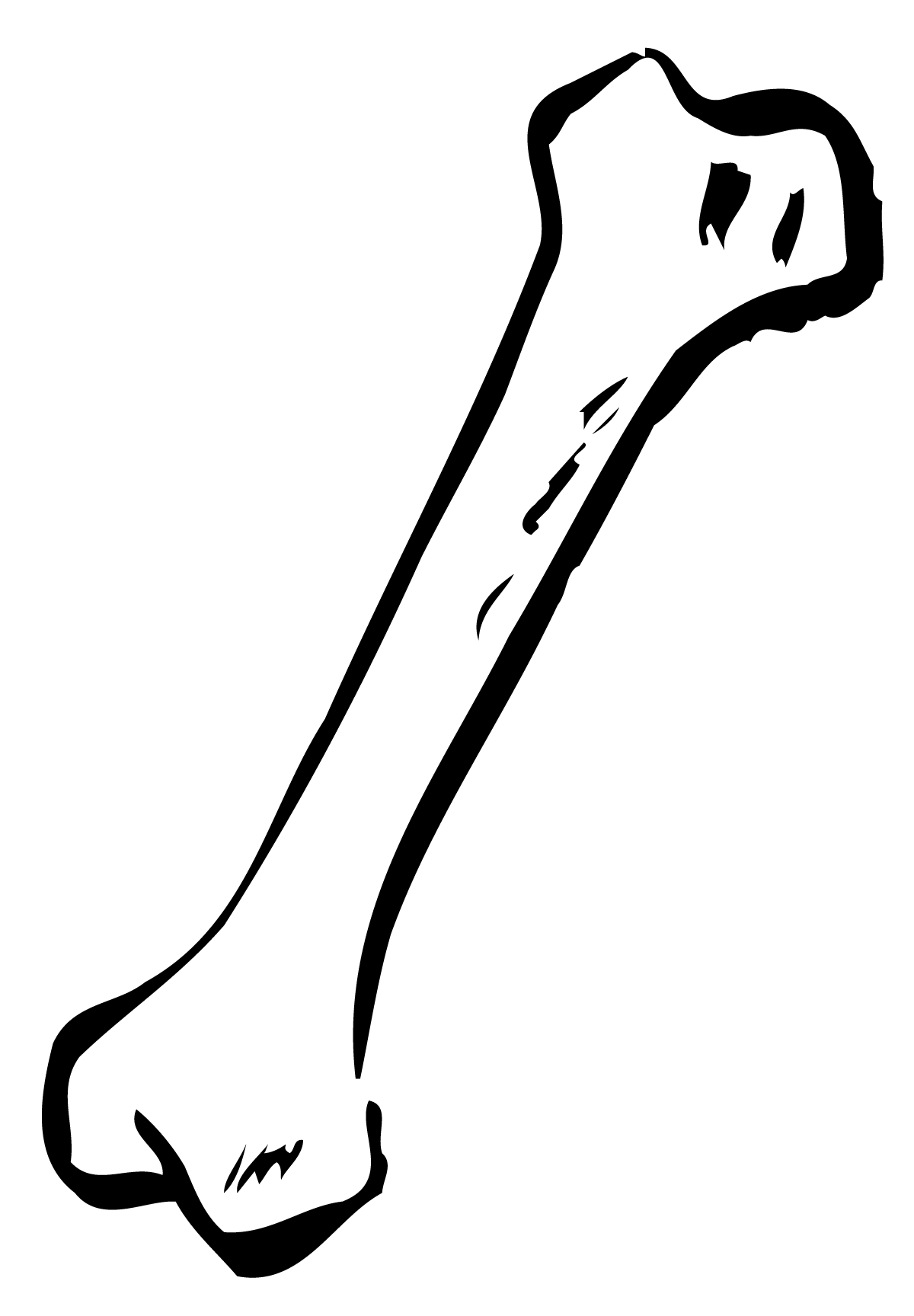 Dog Bone Clip Art Cartoon - Bone Clipart