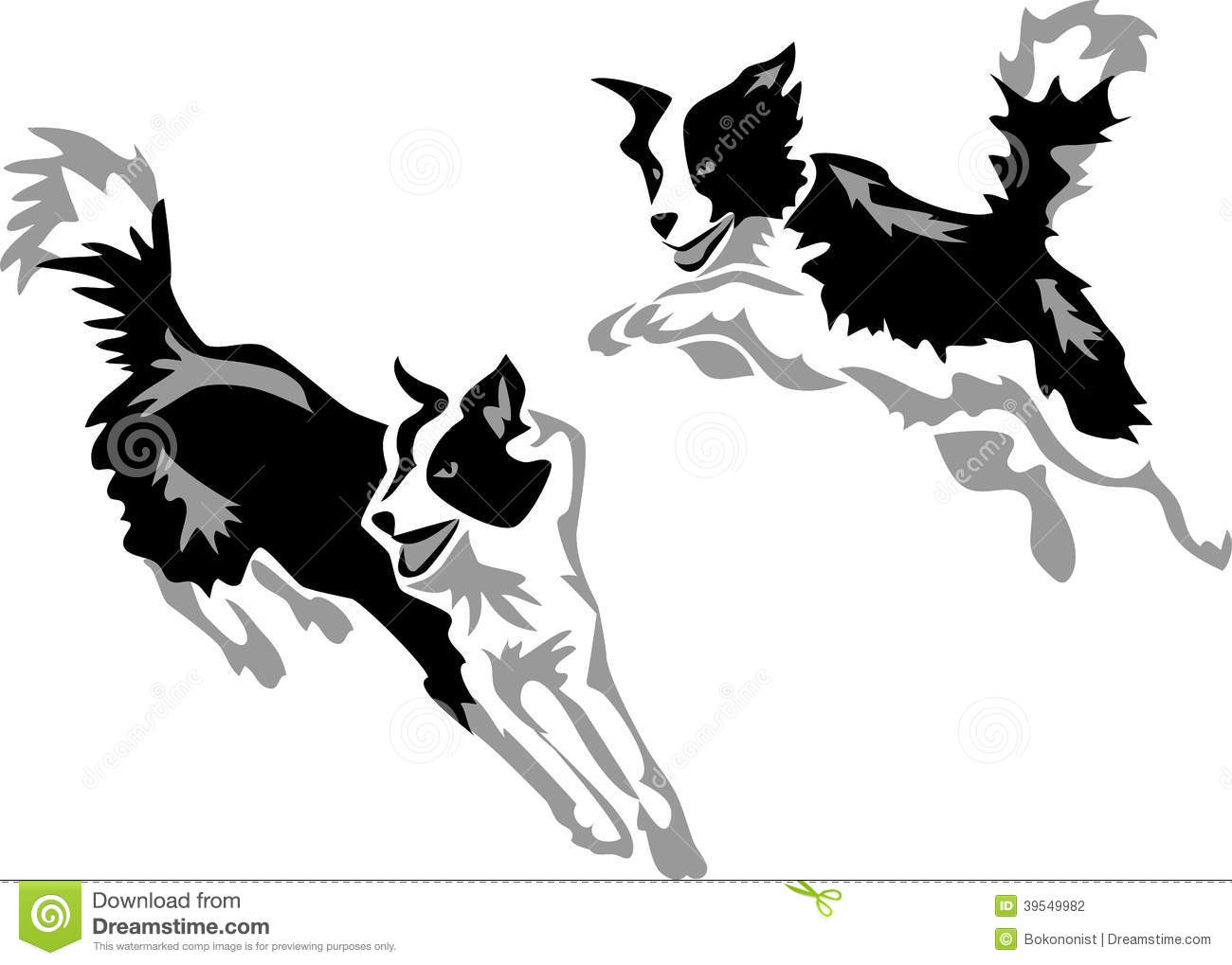 Border Collie dog - Illustrat - Border Collie Clipart