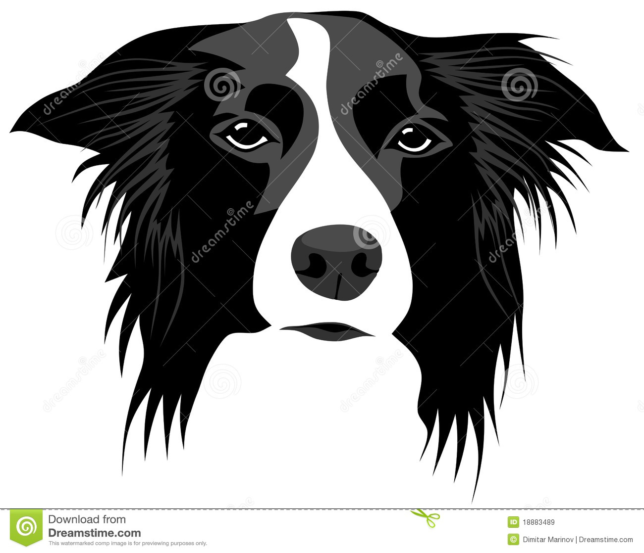 Border collie Royalty Free St - Border Collie Clipart