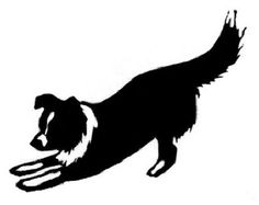 border collie silhouette tattoos - Google Search