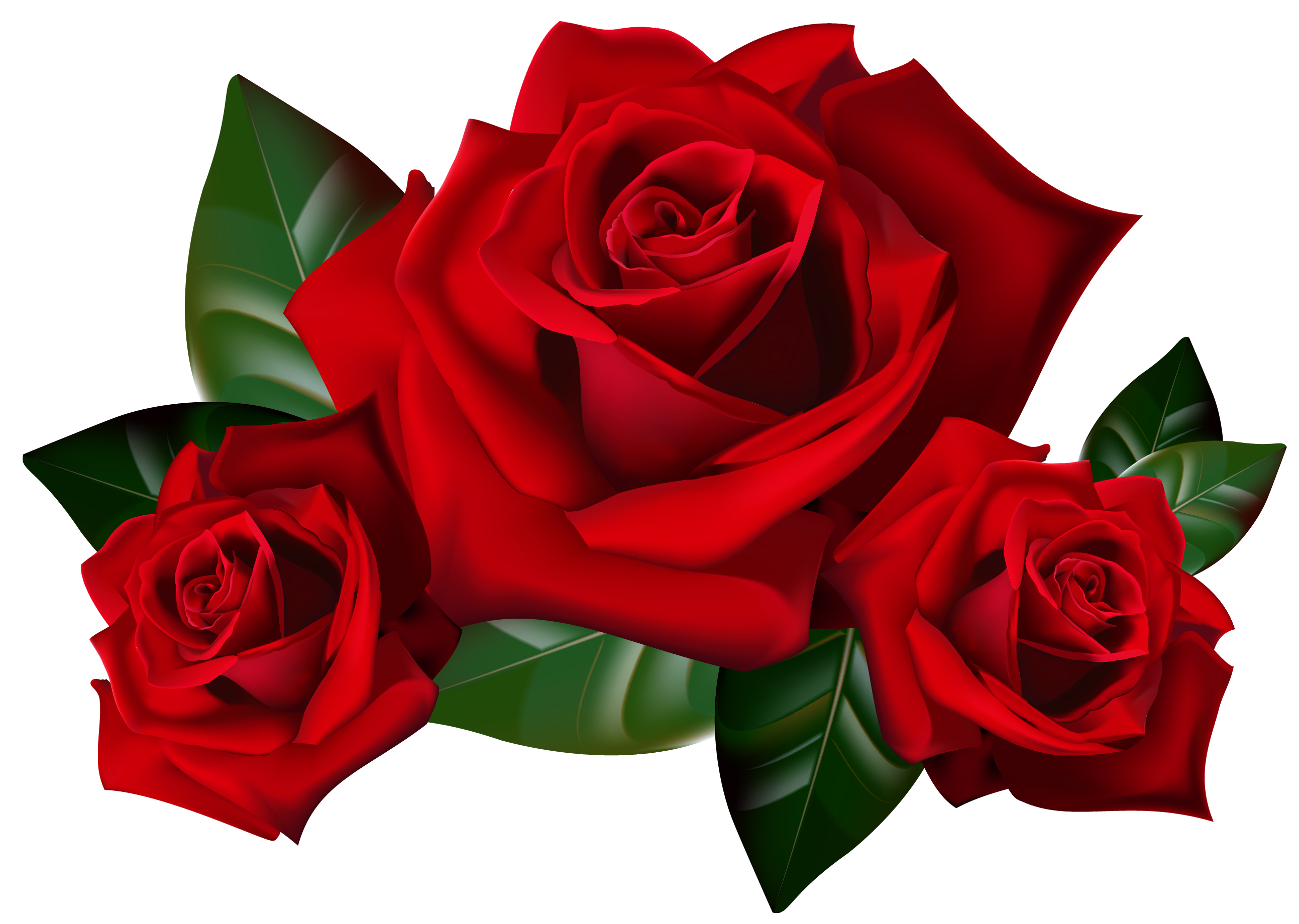 Bouquet of roses frame clipar - Red Rose Clip Art