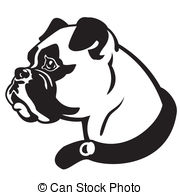 ... boxer dog head - boxer dog head, black and white side view... ...