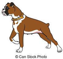 ... boxer dog side view image isolated on white background