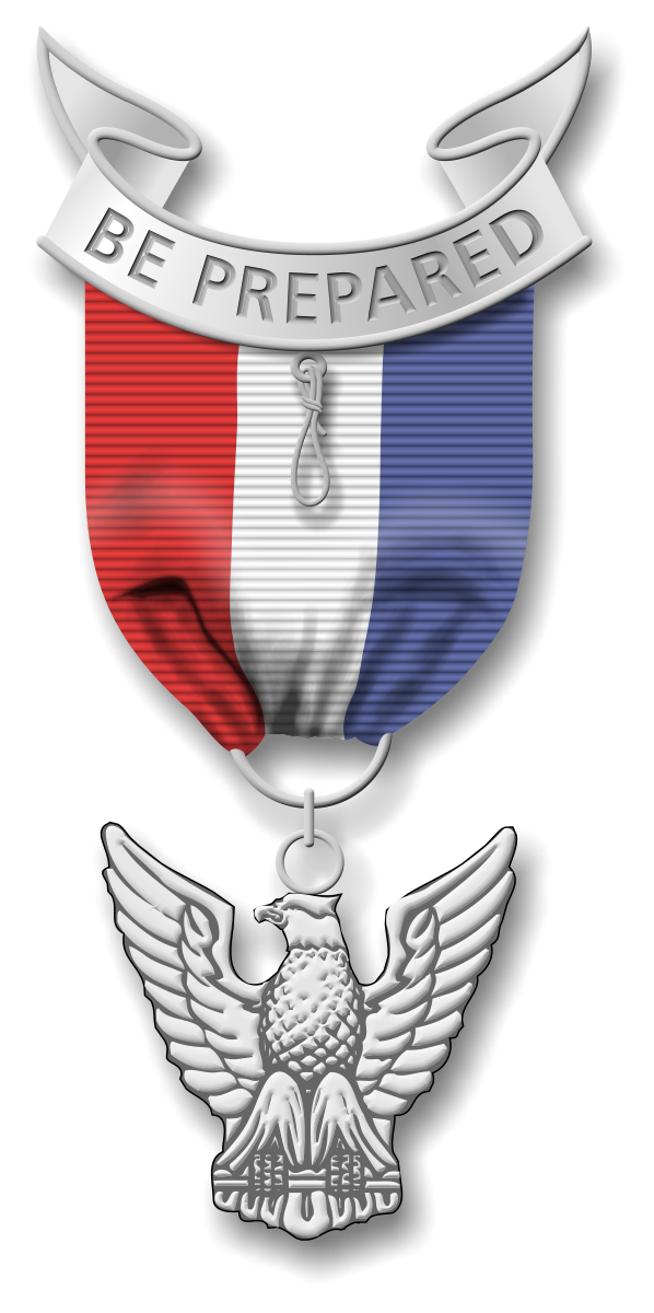 eagle_scout_medal_color.gif (