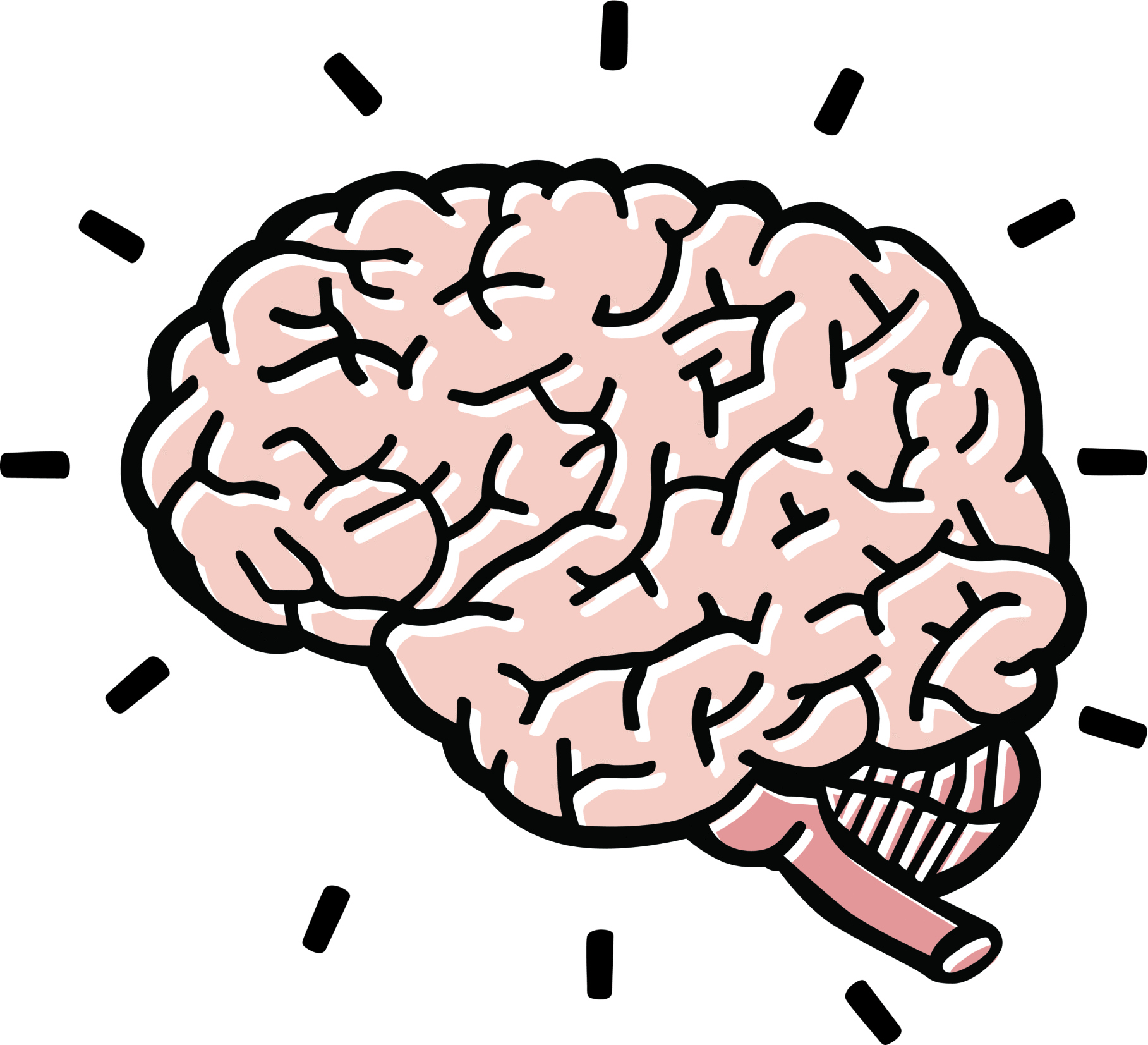 Brain line drawing clipart
