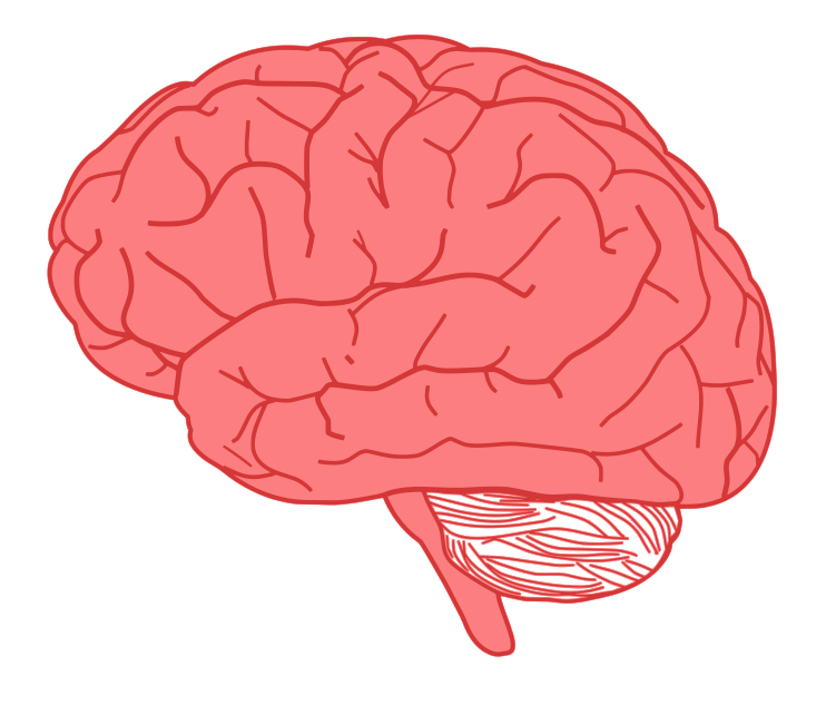 Human brain with rainbow wate