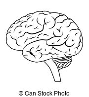 Vector illustration of a human brain. EPS 8.