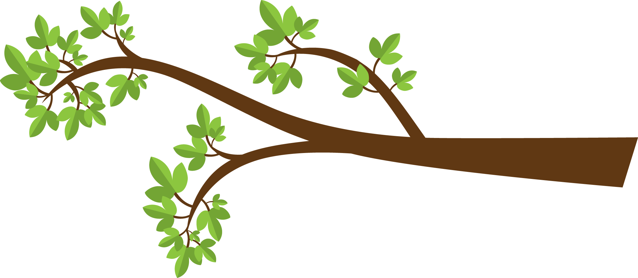 Tree branch clipart, Green le