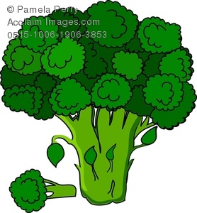 Broccoli; a broccoli