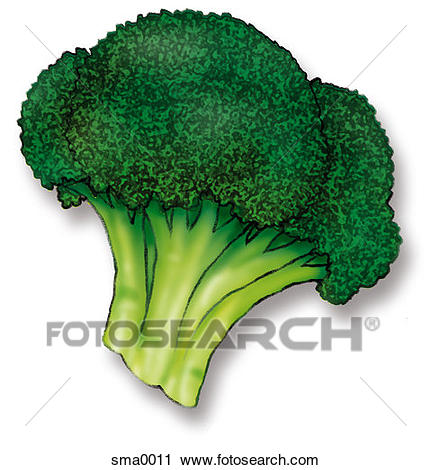 Broccoli