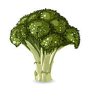 Strong Mascot Broccoli Superh