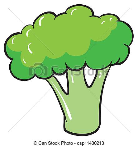 broccoli - csp11430213 - Broccoli Clipart