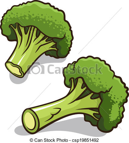 . ClipartLook.com Broccoli vector illustration isolated on a white background