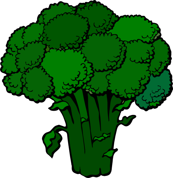 Download this image as: - Broccoli Clipart