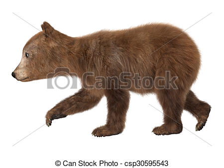 ... Brown Bear Cub - 3D digital render of a brown bear cub.