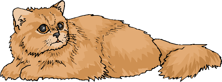 Brown Cat Sit On The Ground Free Clipart