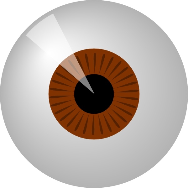 Brown Eye clip art - Brown Eyes Clipart