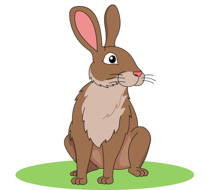 Brown Rabbit Clipart Size: 91 - Clipart Rabbit