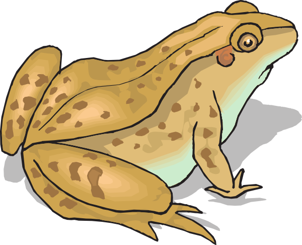 Speckled Frog Clip Art. Toad 