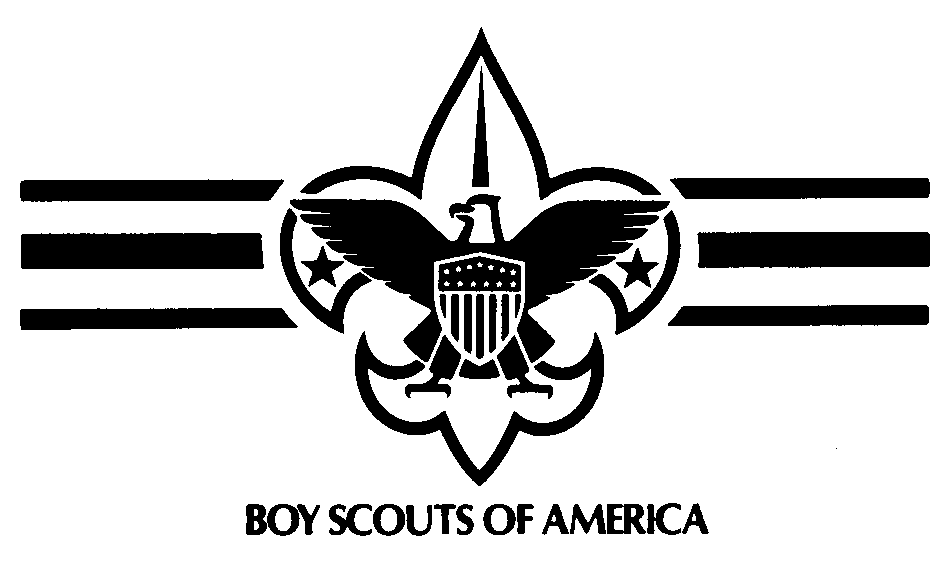 bsa_new_banner_with_text.gif (952x563)