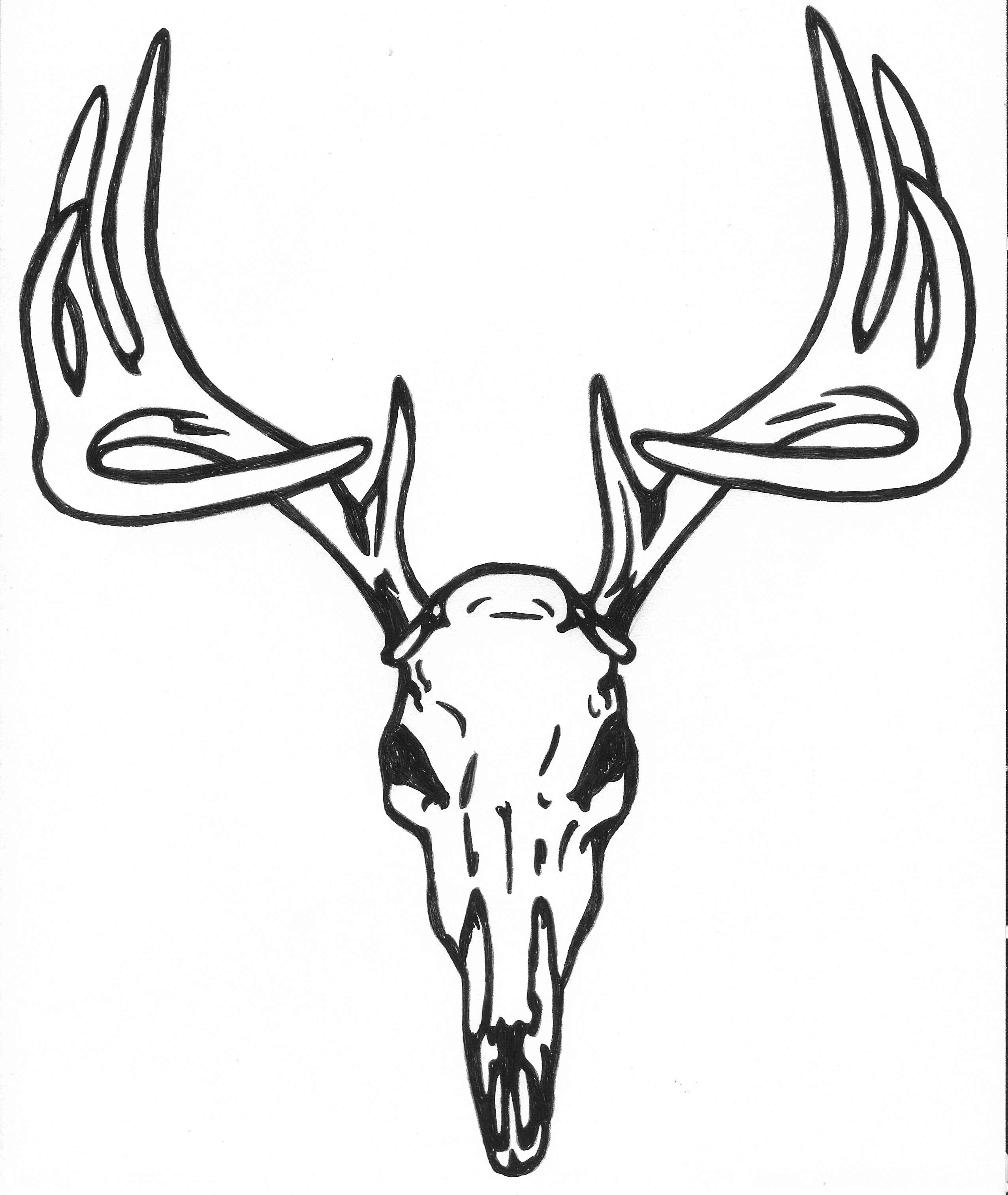 Buck Antlers Skull Decal . Learn more at .
