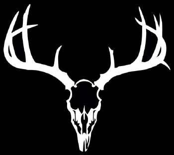 Buck Skull Clipart Deer Skull .