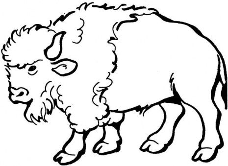 buffalo clipart