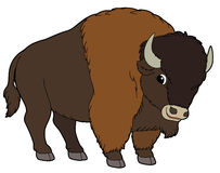 buffalo clipart - Clipart Buffalo