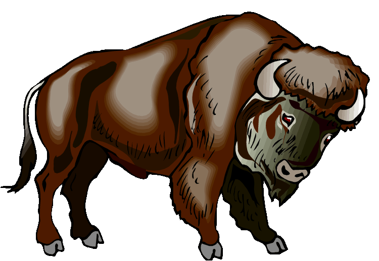 bison clipart #77