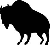 Bison and Buffalo; silhouette of African buffalo