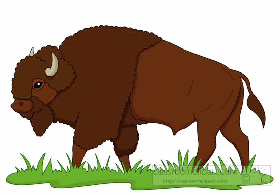 bison-on-praire-clipart-6125.jpg