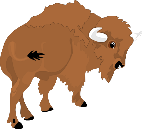 Free buffalo clipart image