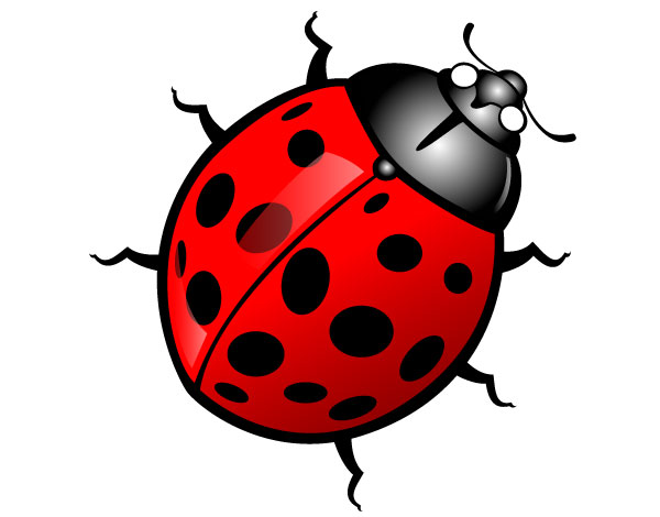 Assassin bug insect clipart. 