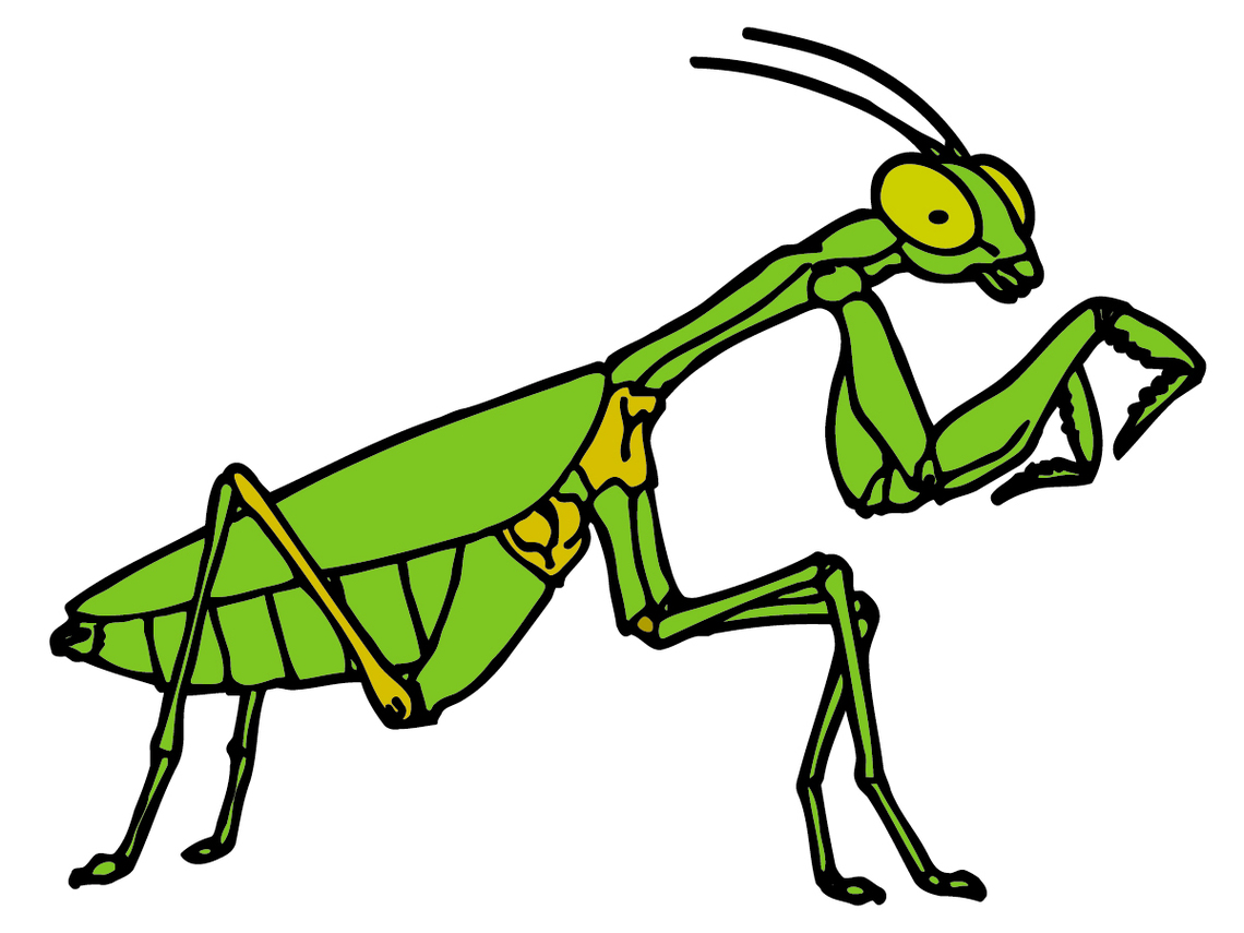 Insect clip art bug cartoon c