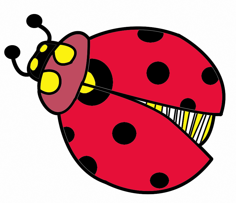 Cute Bug Digital Clipart Bug 