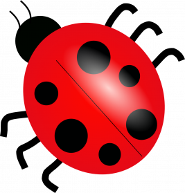 Red Bug Clipart #1