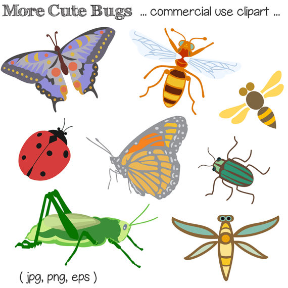 free bug clipart