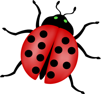 Bugs Clipart colorful bug