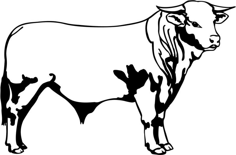 bull clipart - Bull Clip Art