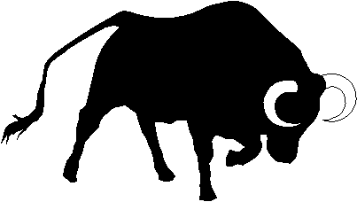 bull: bull head (red bull)
