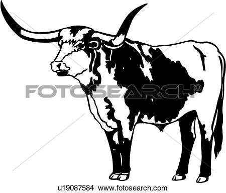 Charging texas longhorn bull 