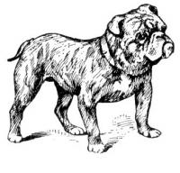 bulldog - Free Bulldog Clipart